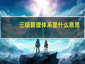三级管理体系是什么意思