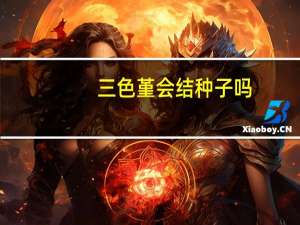 三色堇会结种子吗