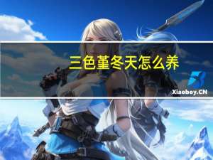 三色堇冬天怎么养