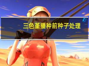 三色堇播种前种子处理