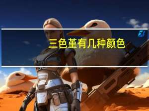 三色堇有几种颜色