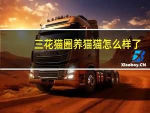 三花猫圈养猫猫怎么样了