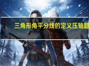 三角形角平分线的定义压轴题（三角形角平分线的定义）