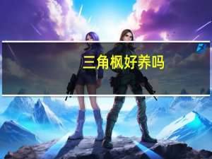 三角枫好养吗