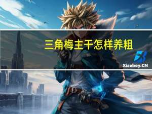 三角梅主干怎样养粗