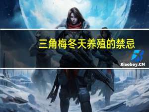 三角梅冬天养殖的禁忌