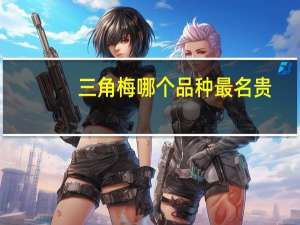 三角梅哪个品种最名贵