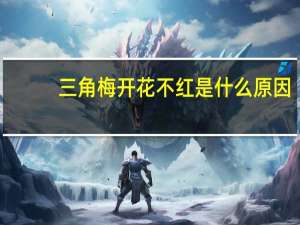 三角梅开花不红是什么原因