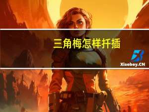 三角梅怎样扦插