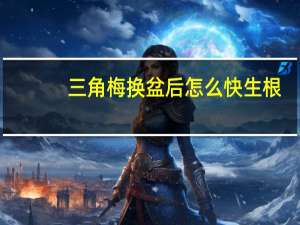 三角梅换盆后怎么快生根