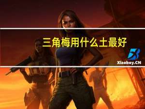 三角梅用什么土最好