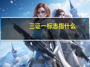三证一标志指什么