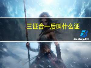 三证合一后叫什么证（三证合一后叫什么证）