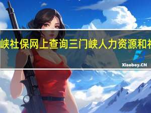三门峡社保网上查询 三门峡人力资源和社会保障局