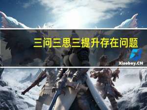 三问三思三提升存在问题（三问）