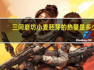 三间磨坊 小麦胚芽的热量是多少