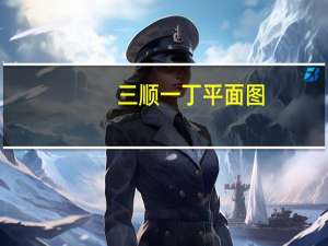 三顺一丁平面图（三顺一丁简介）