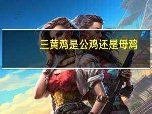 三黄鸡是公鸡还是母鸡