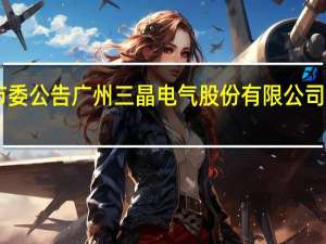 上交所上市委公告广州三晶电气股份有限公司首发9月4日上会