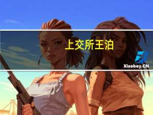 上交所王泊：ESG本土化要与构建中国特色估值体系紧密结合