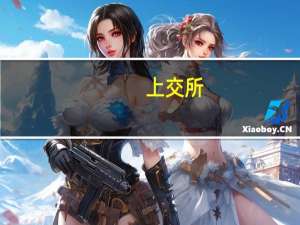 上交所：对旅行者汽车集团有限公司予以监管警示