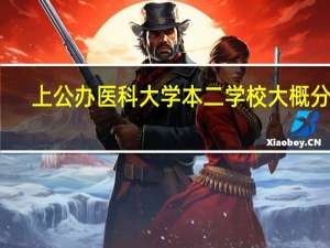 上公办医科大学本二学校大概分数