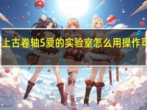 上古卷轴5爱的实验室怎么用操作可玩性（上古卷轴5爱的实验室怎么用）