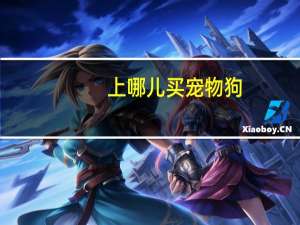 上哪儿买宠物狗