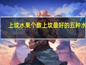 上坟水果个数 上坟最好的五种水果