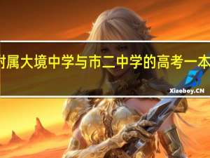 上外附属大境中学与市二中学的高考一本率差距大吗