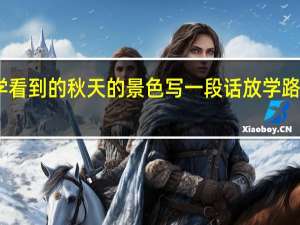 上学或放学看到的秋天的景色写一段话 放学路上的景色三年级