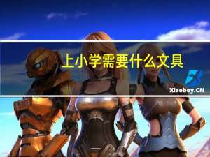 上小学需要什么文具