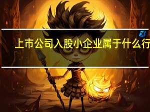 上市公司入股小企业属于什么行为