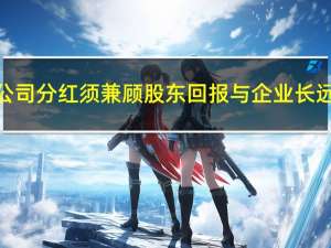 上市公司分红须兼顾股东回报与企业长远发展