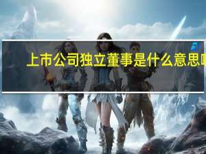 上市公司独立董事是什么意思啊（上市公司独立董事是什么意思）