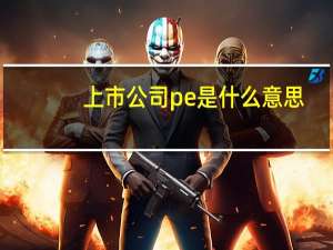 上市公司pe是什么意思