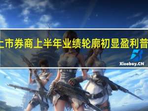 上市券商上半年业绩轮廓初显 盈利普遍向好
