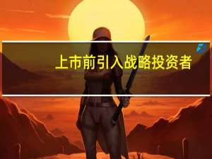 上市前引入战略投资者（战略投资者）