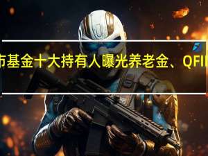 上市基金十大持有人曝光 养老金、QFII大举建仓