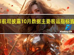 上市航司披露10月数据 主要客运指标皆同比提升