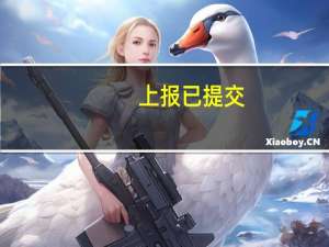 上报已提交（上一步 提交）