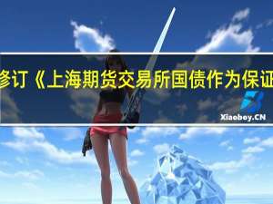 上期所修订《上海期货交易所国债作为保证金业务指引》