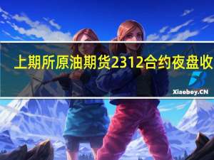 上期所原油期货2312合约夜盘收涨0.29%报691.30元人民币/桶沪金夜盘收涨0.35%沪银收涨0.77%