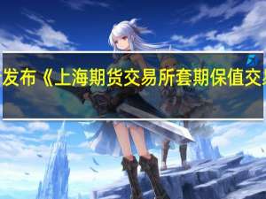 上期所发布《上海期货交易所套期保值交易管理办法（修订版）》