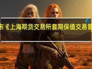 上期所发布《上海期货交易所套期保值交易管理办法 修订版》