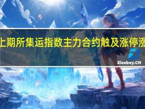 上期所集运指数（欧线）主力合约触及涨停涨幅为9.99%报971.1点