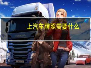 上汽车牌照需要什么
