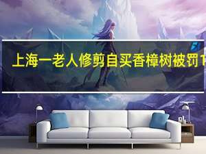 上海一老人修剪自买香樟树被罚14万，官方对此是如何回应的呢