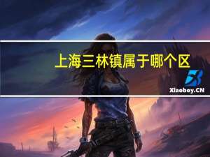 上海三林镇属于哪个区