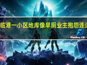 上海临港一小区地库像旱厕 业主抱怨连连求解困局